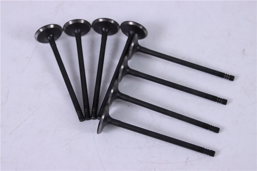 2.0t-gasoline-new-aj200-intake-valve-jde38521-12