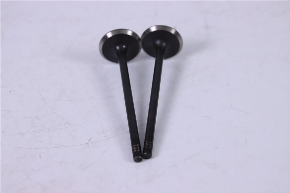 2.0t-gasoline-new-aj200-intake-valve-jde38521-14