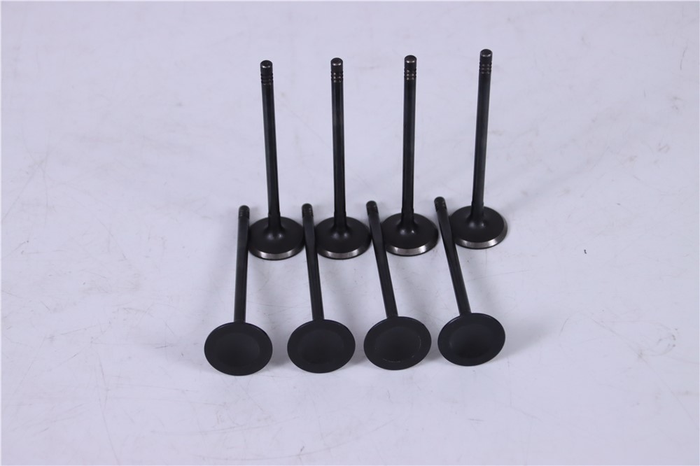 2.0t-gasoline-new-aj200-intake-valve-jde38521-2
