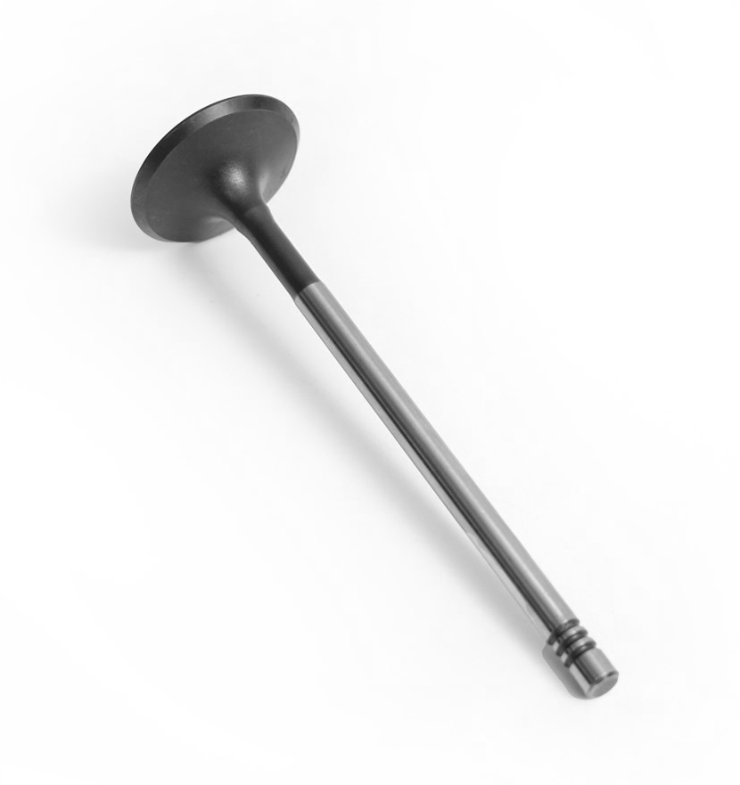 2.0t-gasoline-new-aj200-intake-valve-jde38521-22