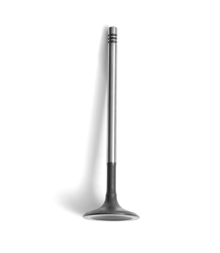 2.0t-gasoline-new-aj200-intake-valve-jde38521-24