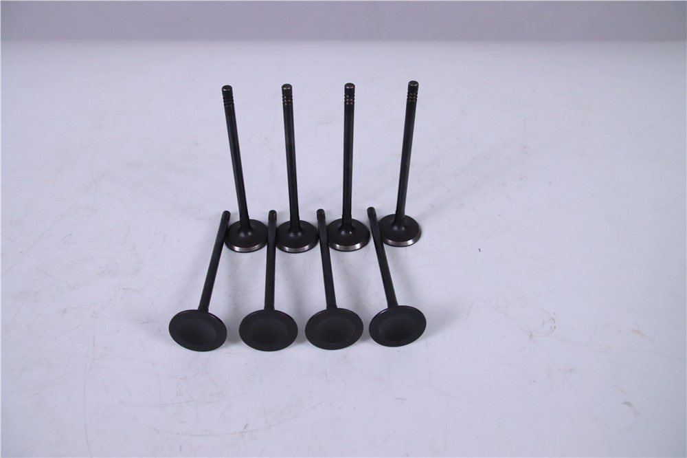 2.0t-gasoline-new-aj200-intake-valve-jde38521-4