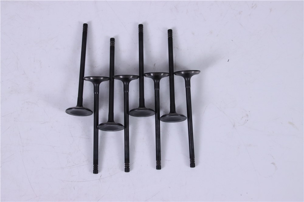 2.0t-gasoline-new-aj200-intake-valve-jde38521-6