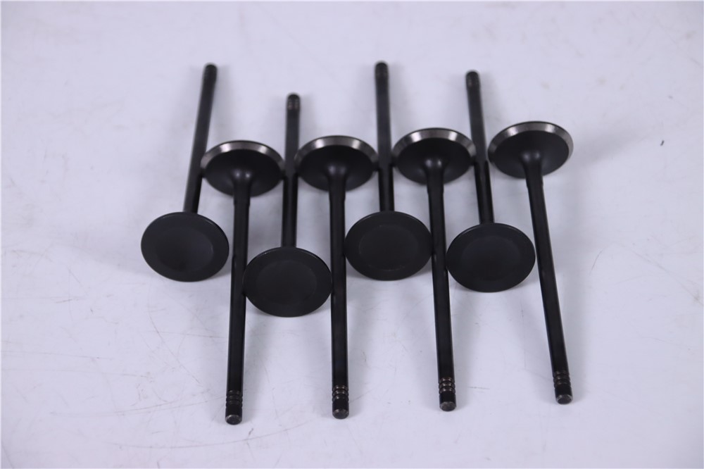 2.0t-gasoline-new-aj200-intake-valve-jde38521-8