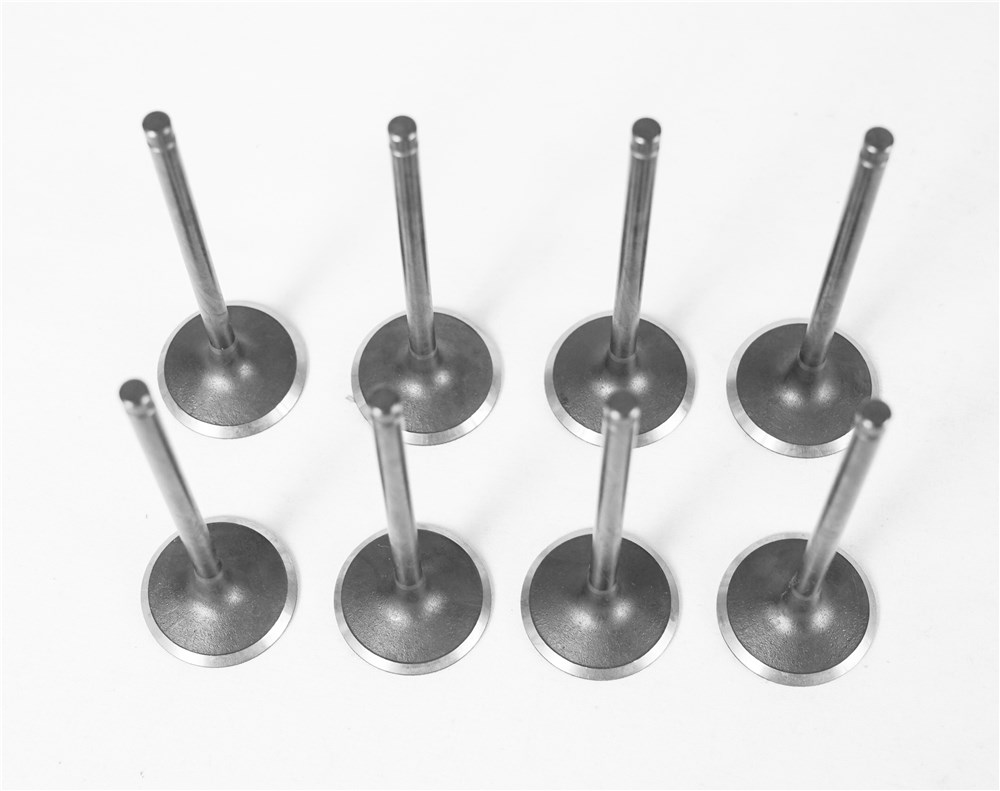 2.0t-gasoline-old-model--intake-valve-lr025301-gn-12