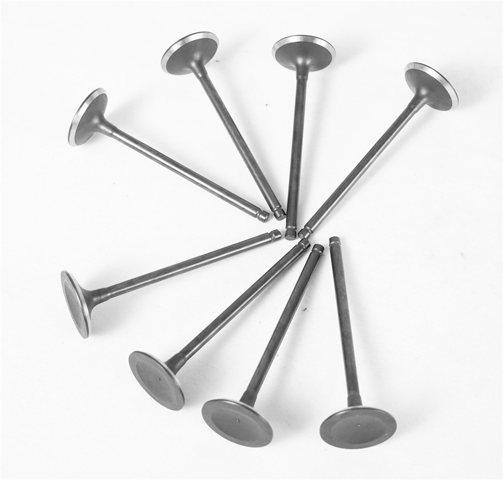 2.0t-gasoline-old-model--intake-valve-lr025301-gn-18