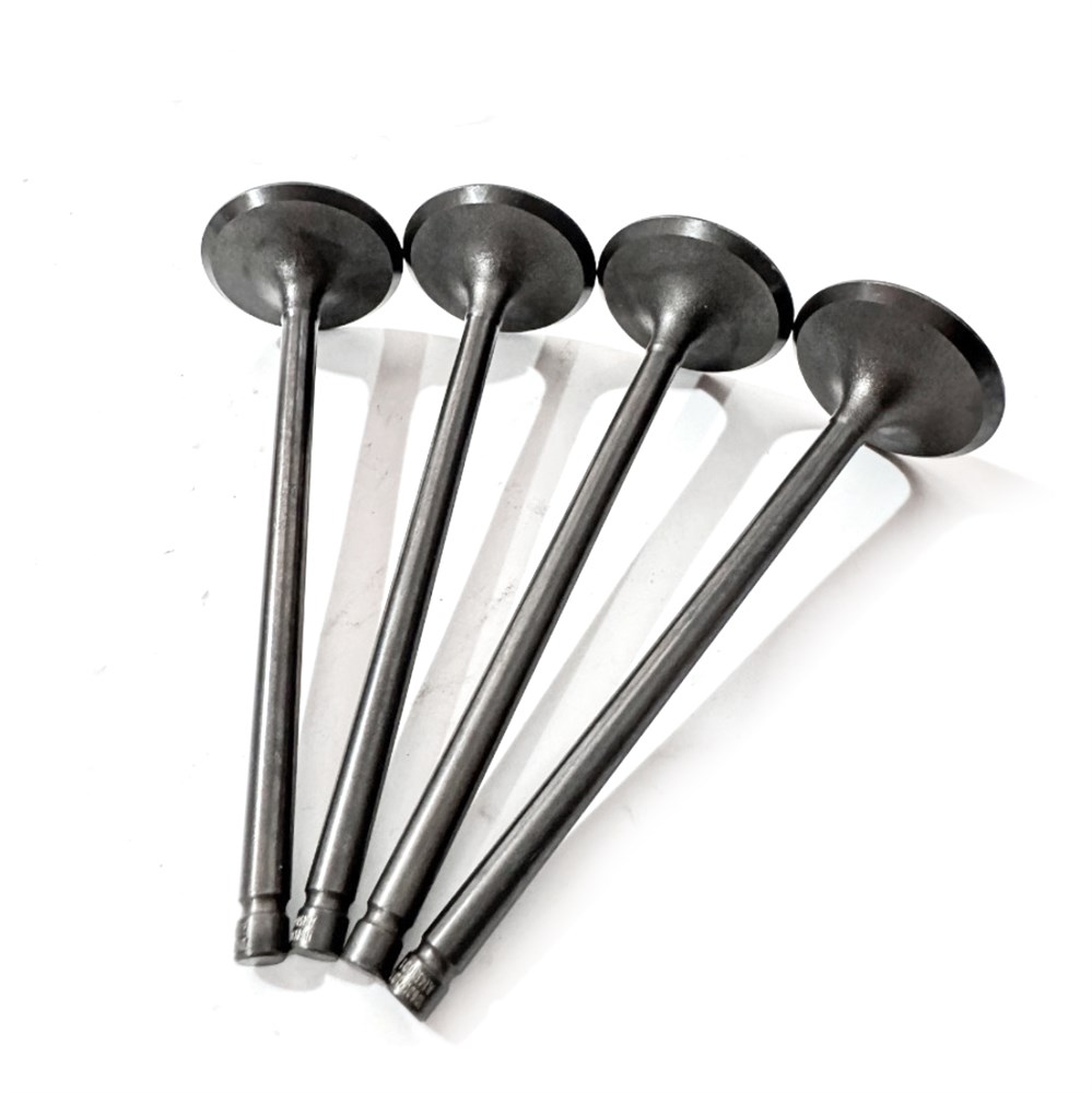 2.0t-gasoline-old-model--intake-valve-lr025301-gn-30