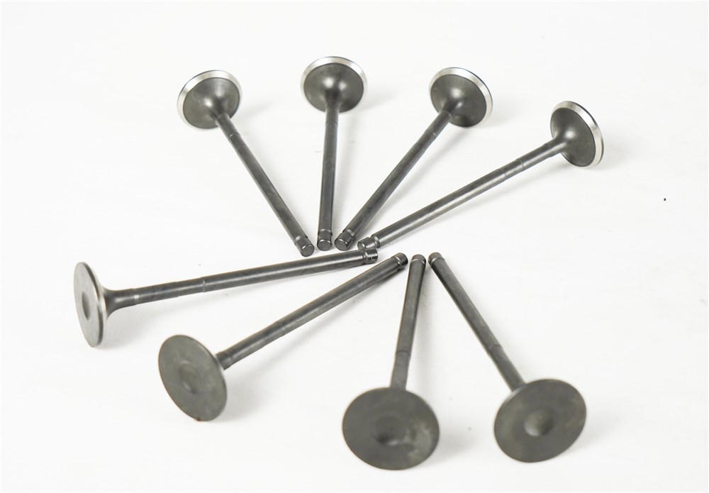 2.0t-gasoline-old-model-exhaust-valve-lr030370-gn-14