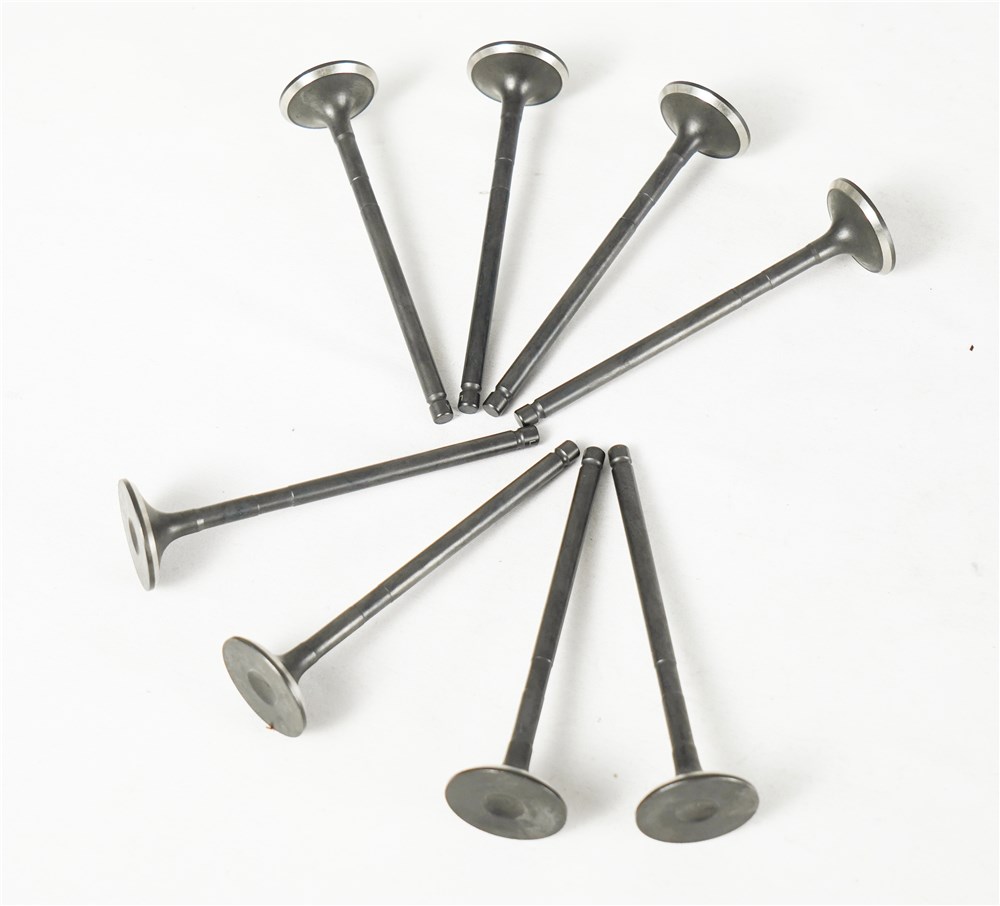 2.0t-gasoline-old-model-exhaust-valve-lr030370-gn-16