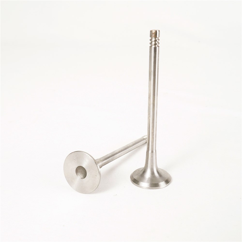 2.2t-diesel-224dt-intake-valve-lr069031-gn-24