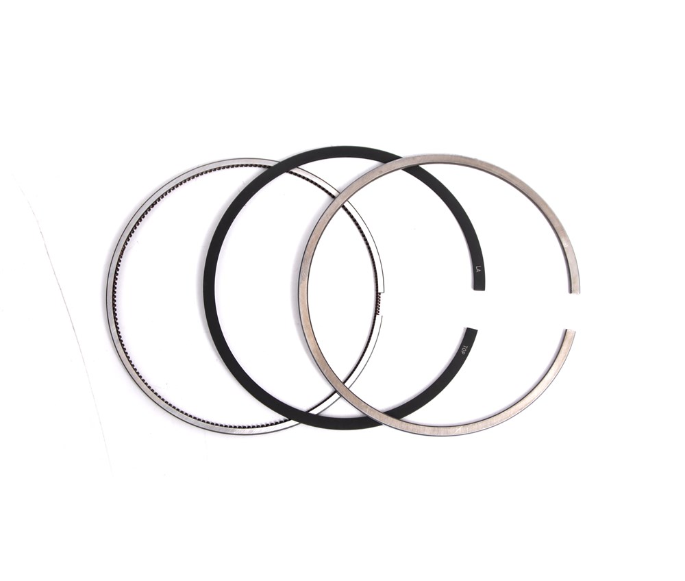 651-piston-ring-6510300124-14