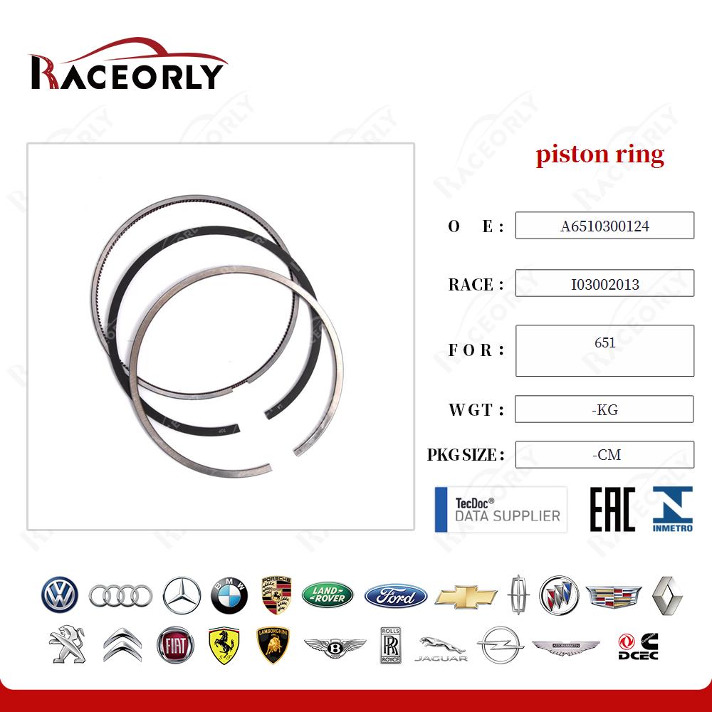 651-piston-ring-6510300124-24
