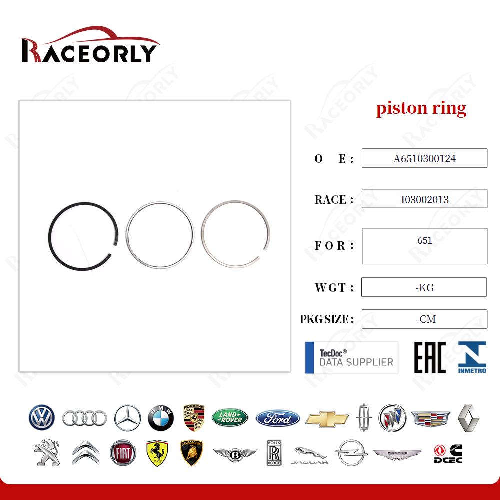 651-piston-ring-6510300124-30
