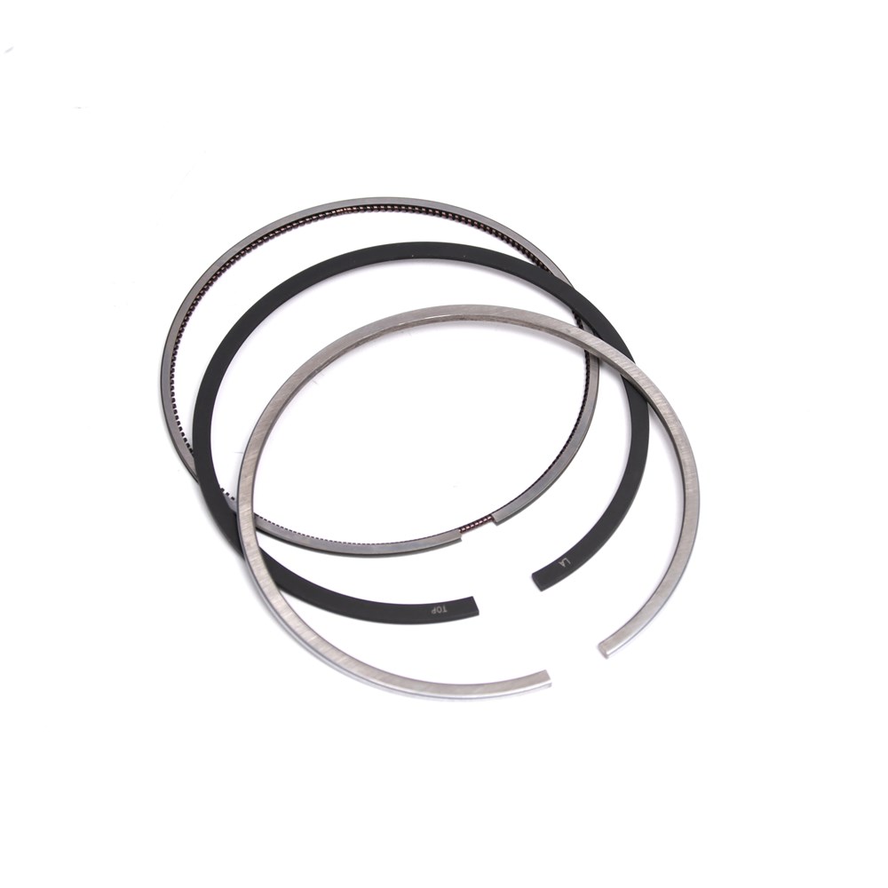 651-piston-ring-6510300124-8