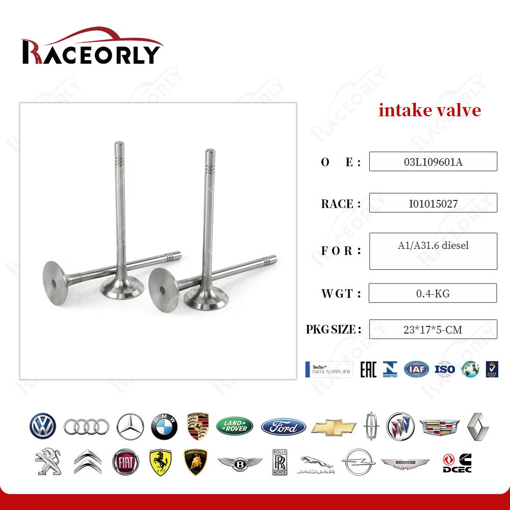 a1-a31.6-diesel-intake-valve-03l109601a-24