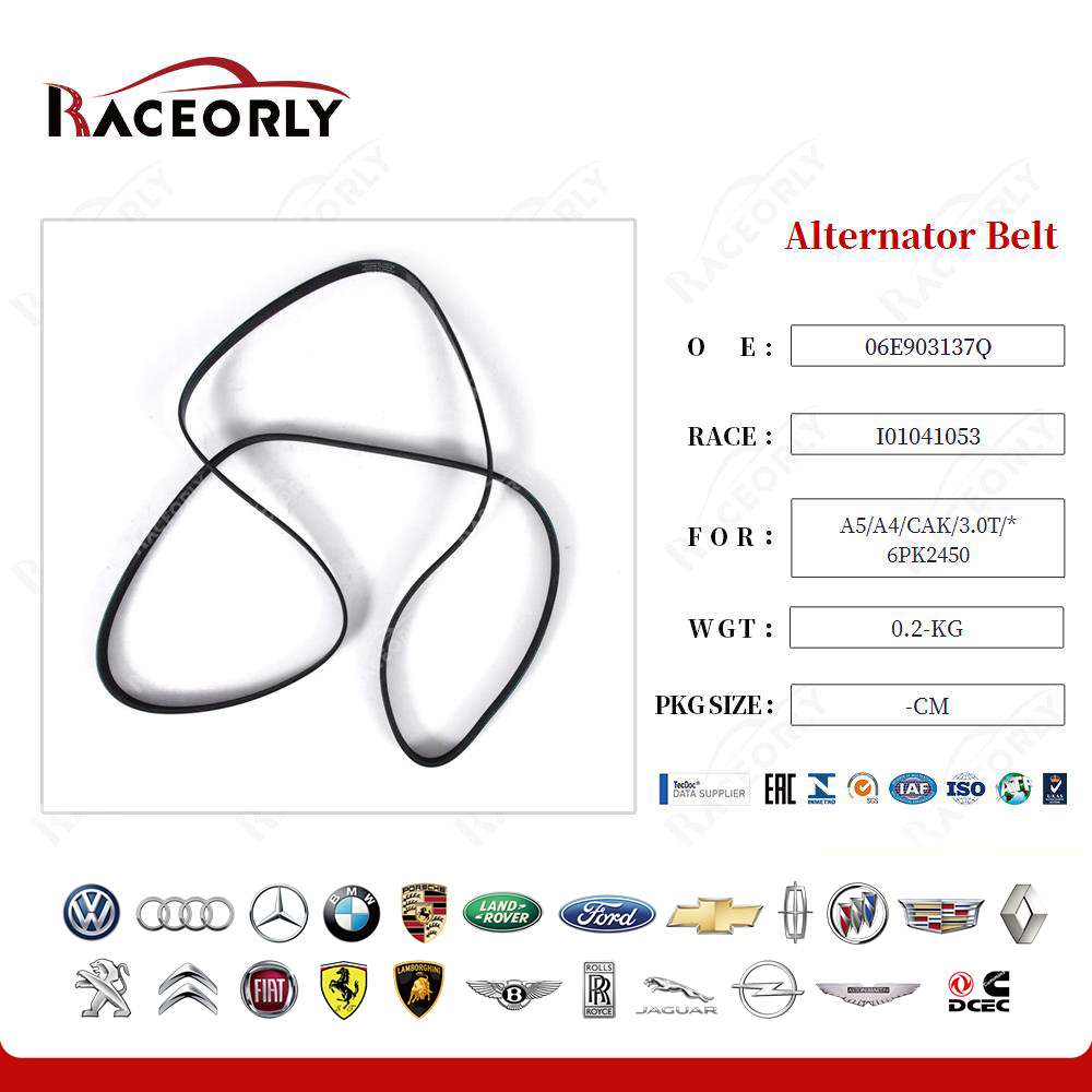 a5-a4-cak-3.0t-*-6pk2450-alternator-belt-06e903137q-4