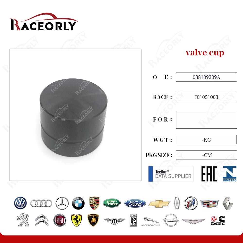 a6-a4-diesel-1.9--golf-1.9-2.0--touareg-2.5-5.0--multivan-diesel-2.5-valve-cup-038109309a-16