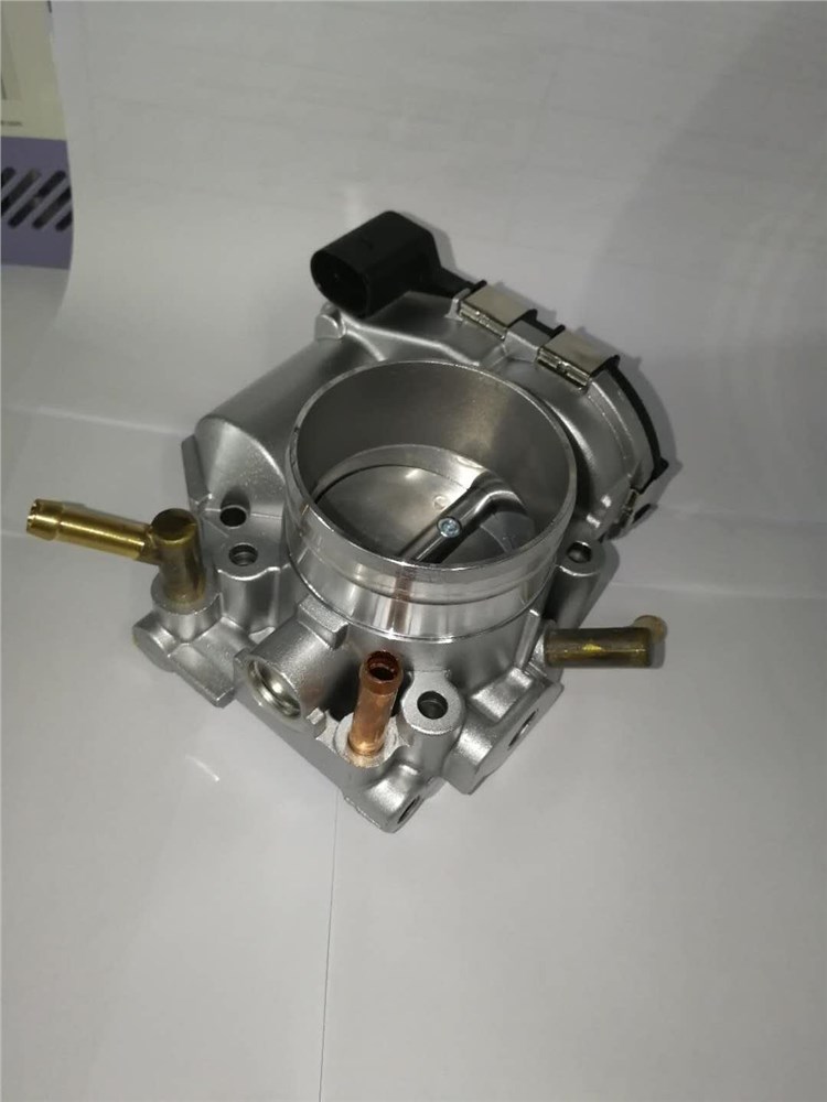 corpo-de-borboleta-do-beetle-2.0-06a133062q-12