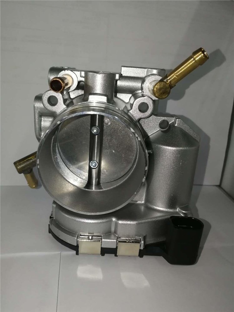 corpo-de-borboleta-do-beetle-2.0-06a133062q