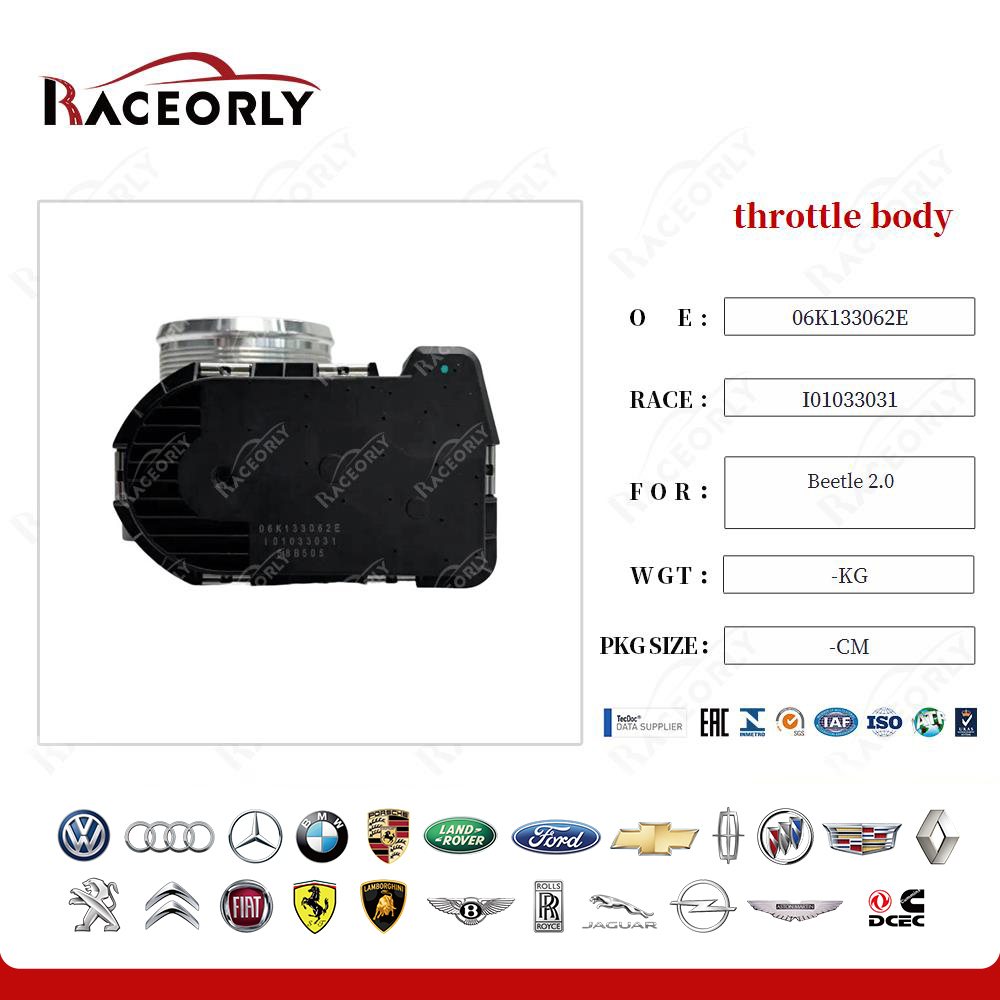 Cuerpo de aceleración Beetle 2.0 06k133062e-14