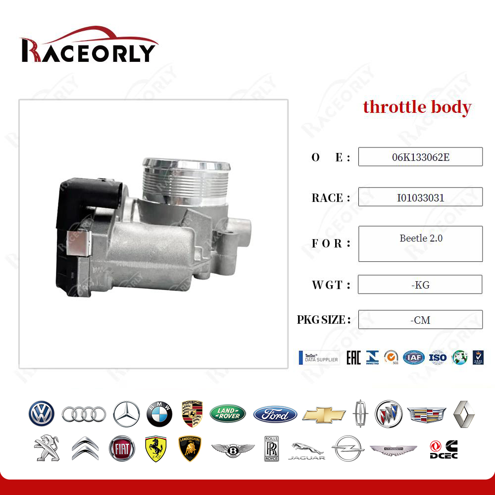 Cuerpo de aceleración Beetle 2.0 06k133062e-22