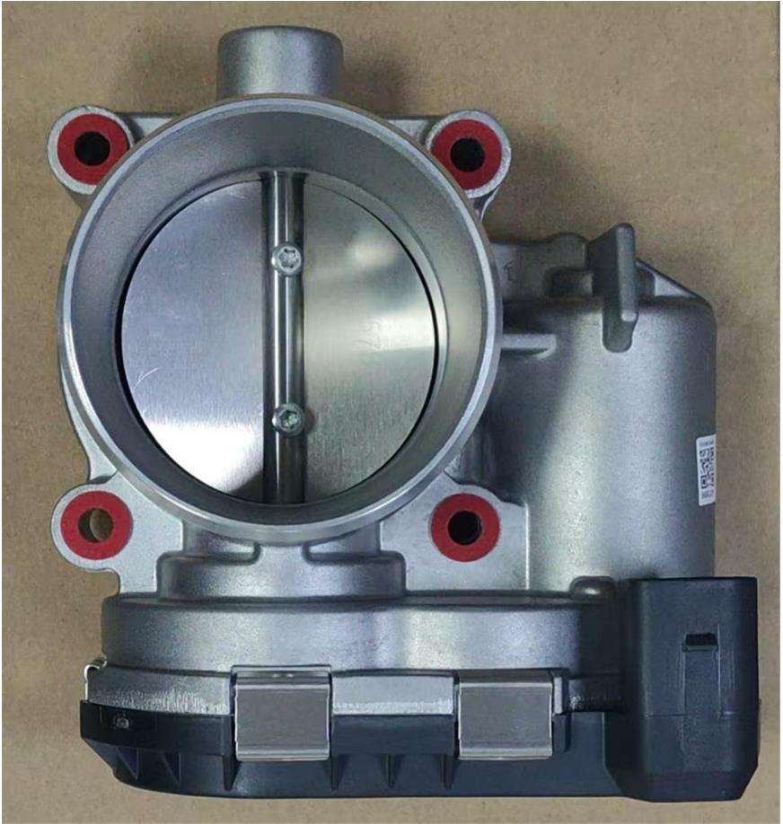 Cuerpo de aceleración Beetle 2.0 06k133062e