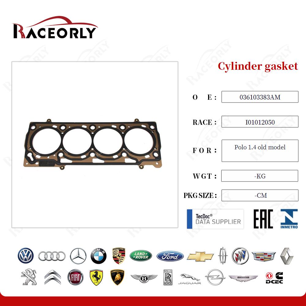 Cylinder gasket