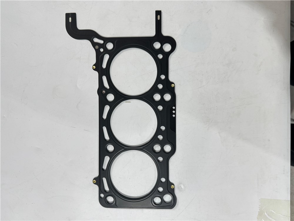 big_466805529239622_756998481346630_5334