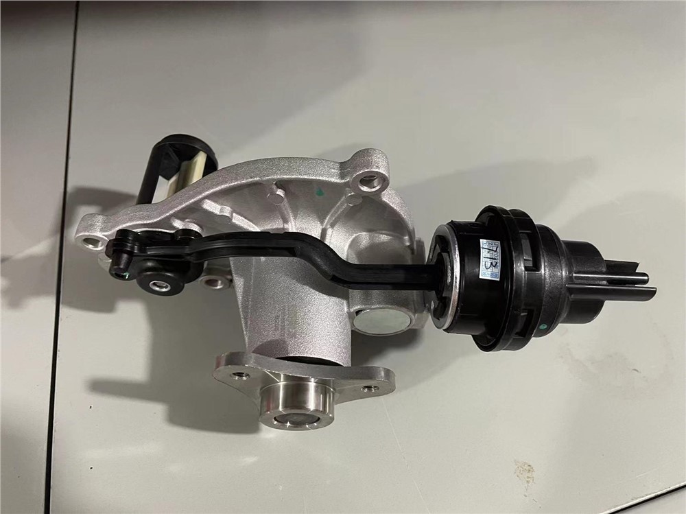 big_466806906744902_486025570529350_9290