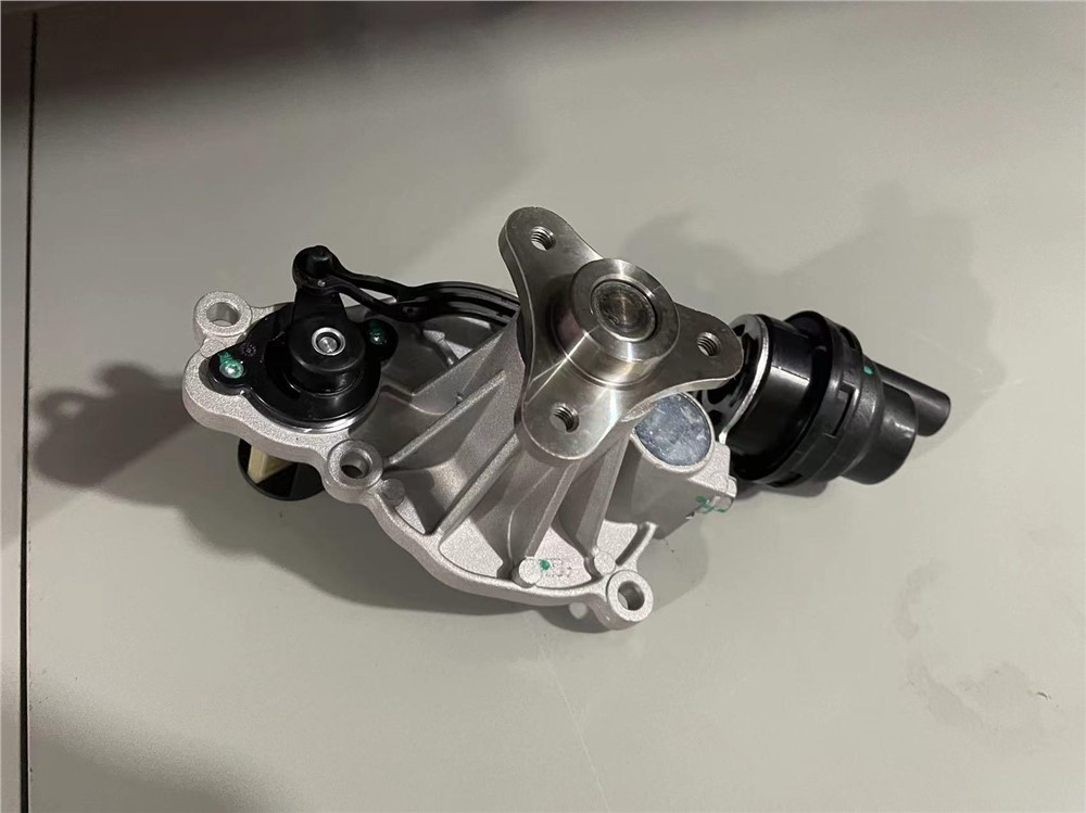 big_466806906744902_486025599639622_8562