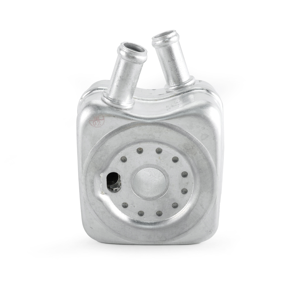 big_466807630049350_665788351324230_6459