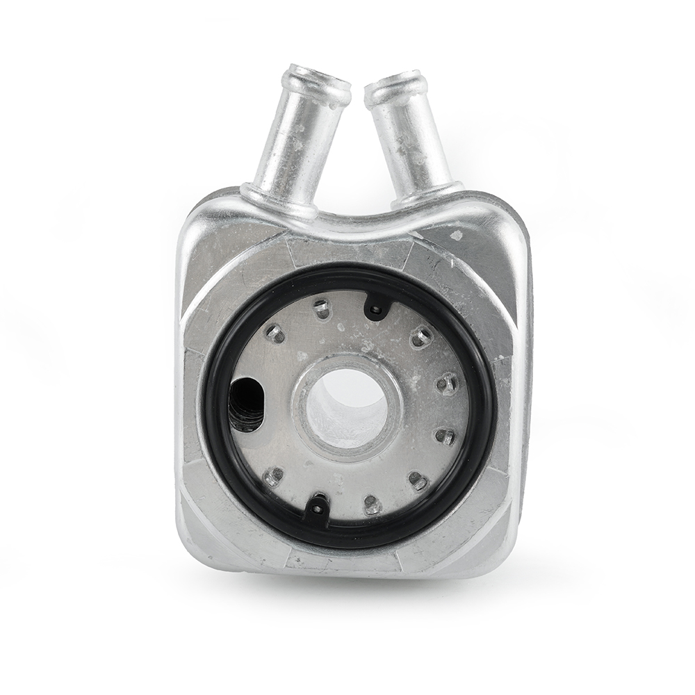 big_466807630049350_665788352540742_2854