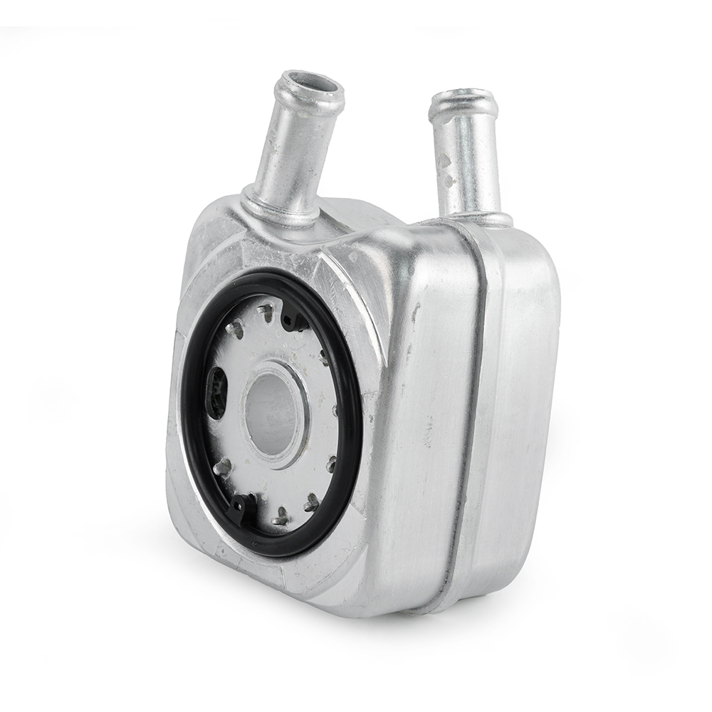 big_466807630049350_665788353691718_0391