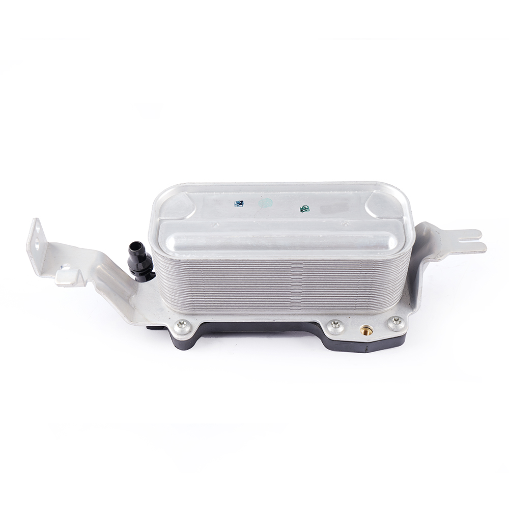 big_466807641018438_686299201417286_4010