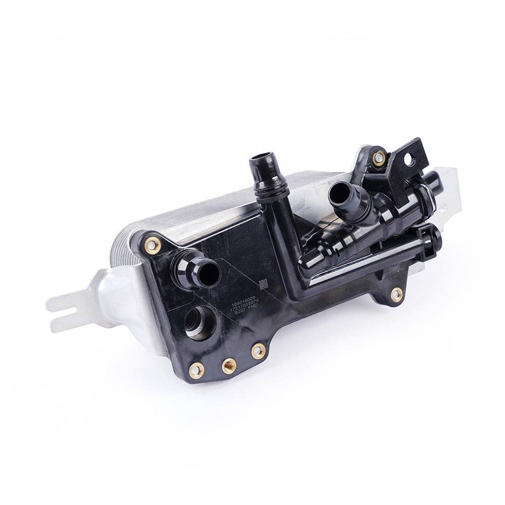 big_466807641018438_691150543376454_3380