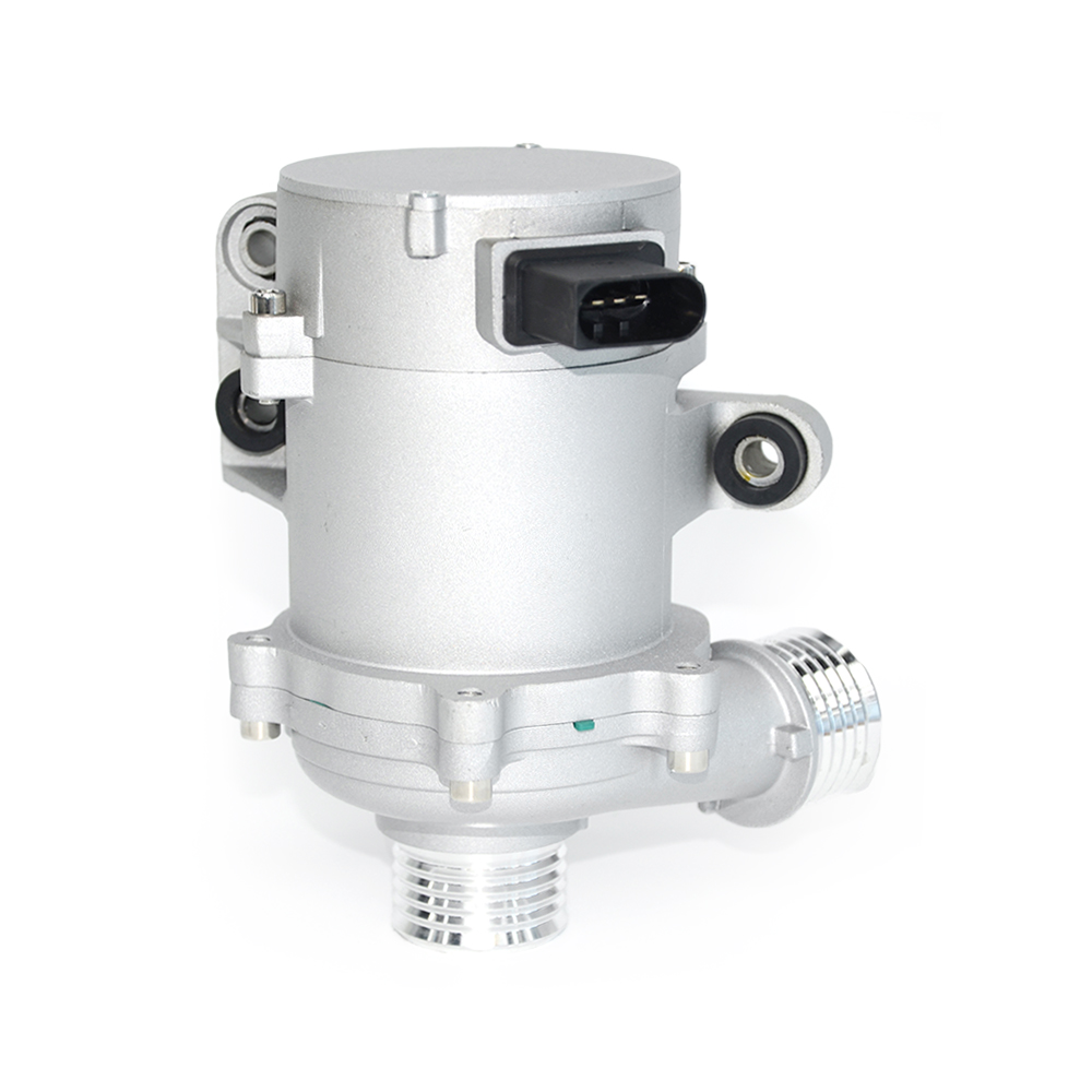 big_466809319137350_654090887909446_7056