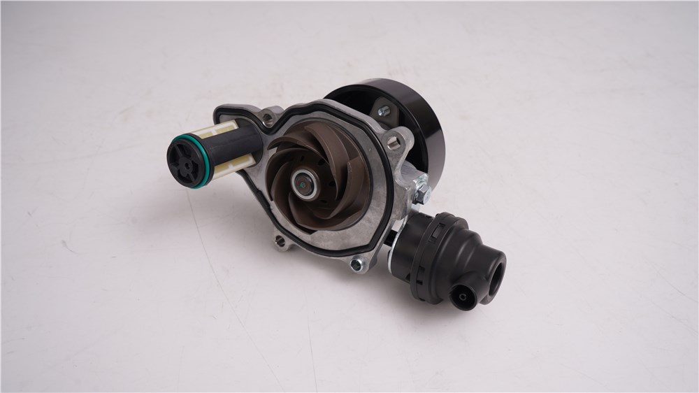 big_498657181098054_642669353156678_0349