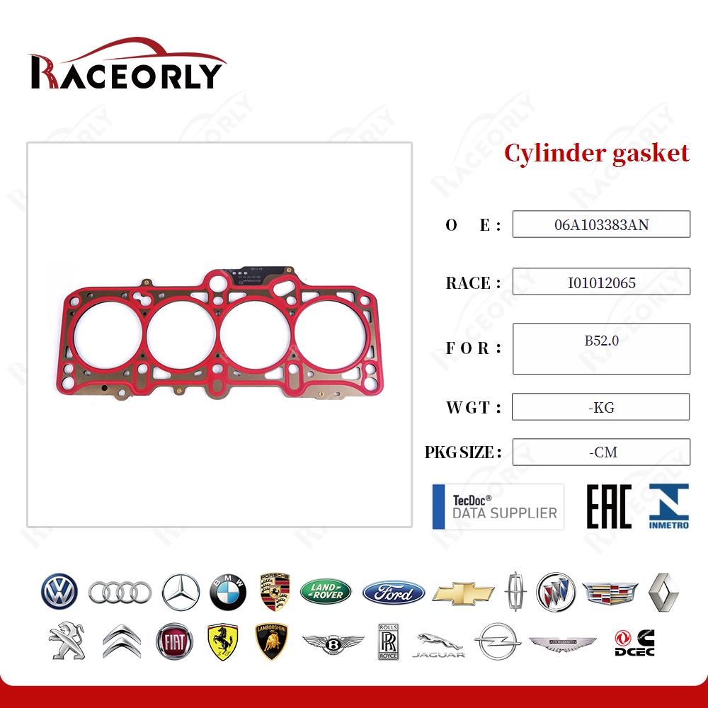 Cylinder gasket