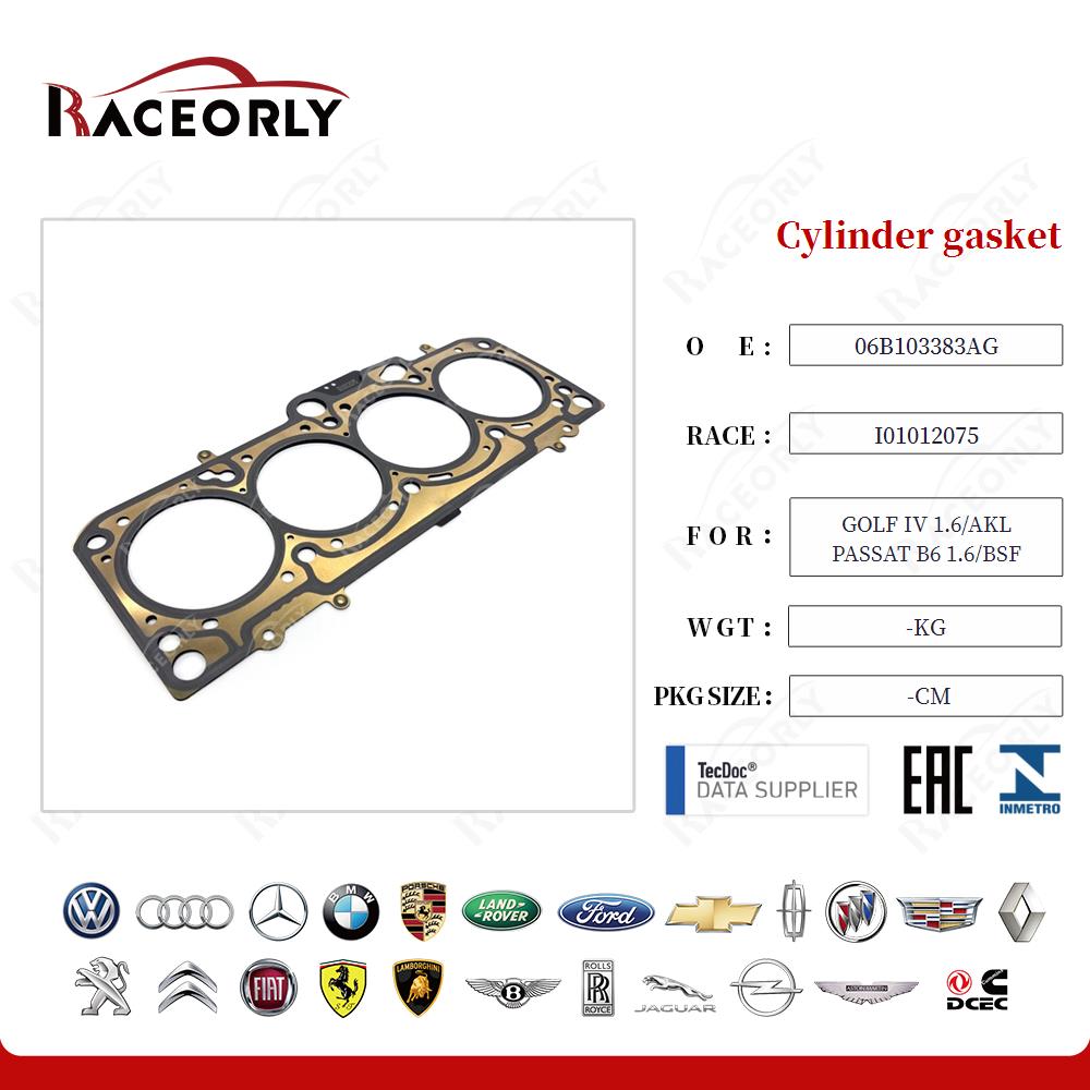 Cylinder gasket