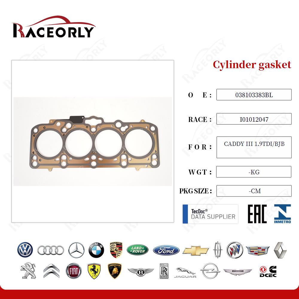 Cylinder gasket