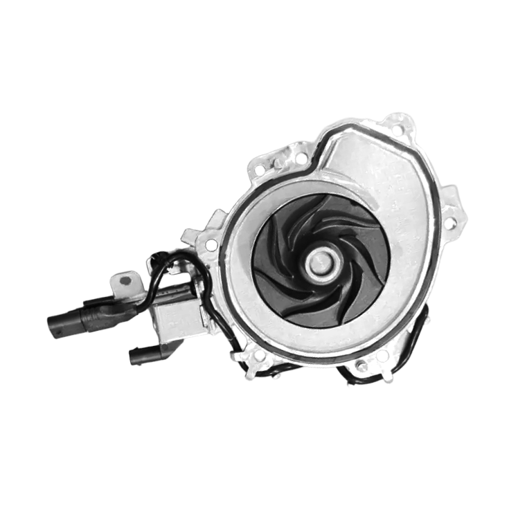 big_606681919819846_724427386564678_2320