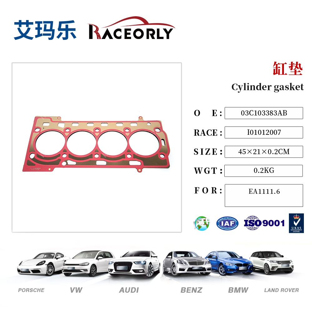 Cylinder gasket
