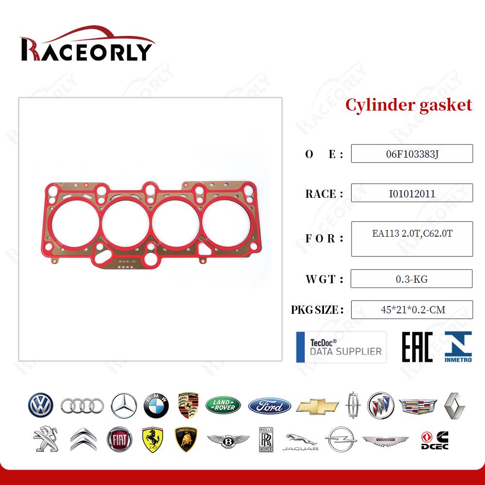 Cylinder gasket