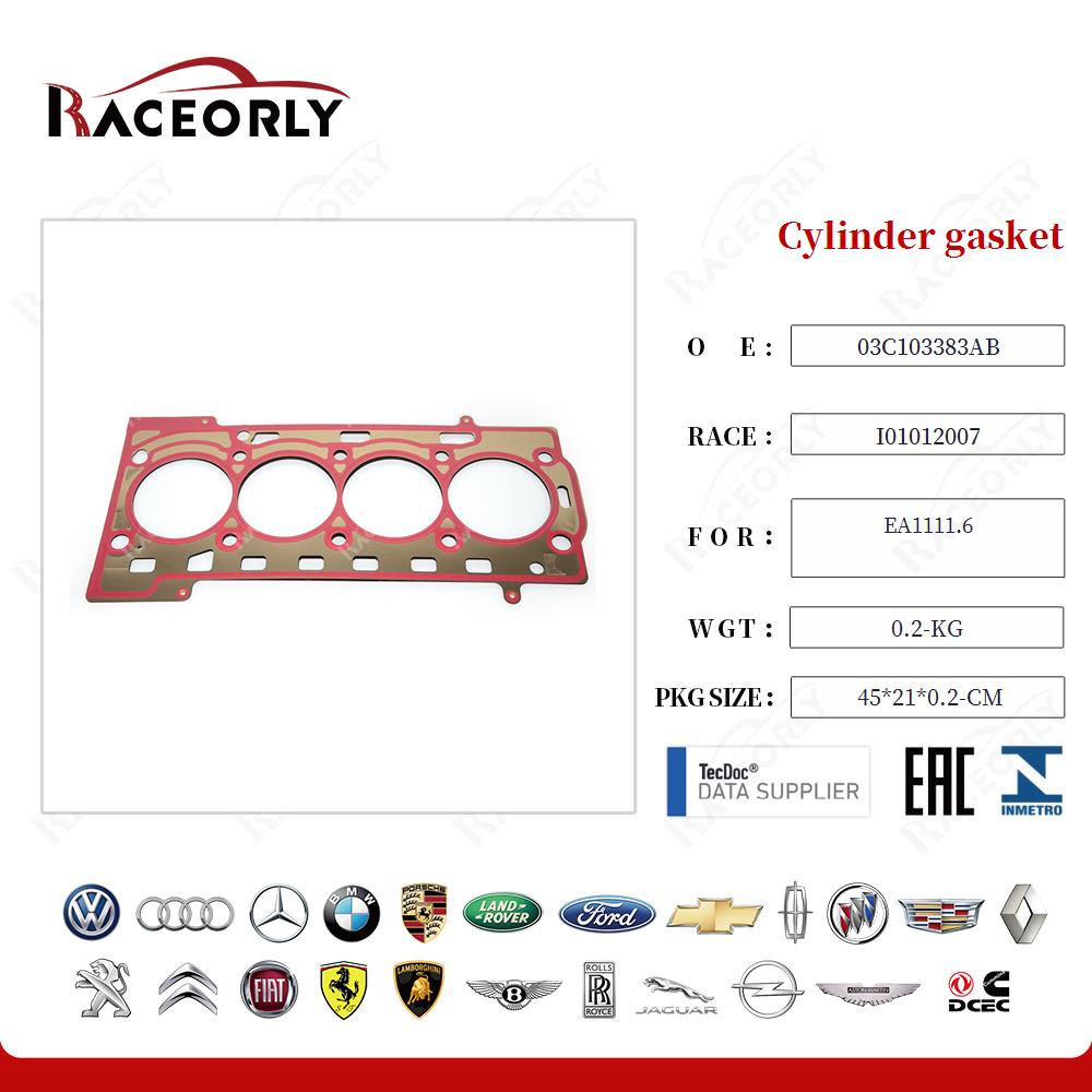 Cylinder gasket