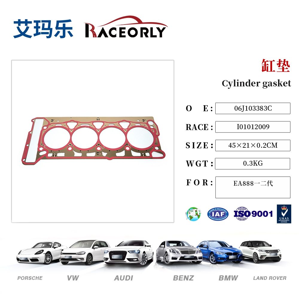 Cylinder gasket