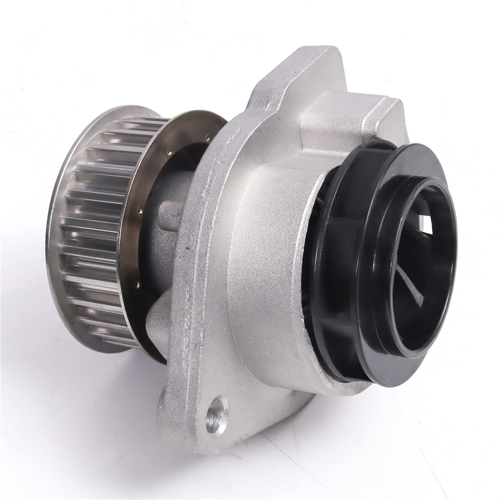 big_770165349441606_770165349761097_4391