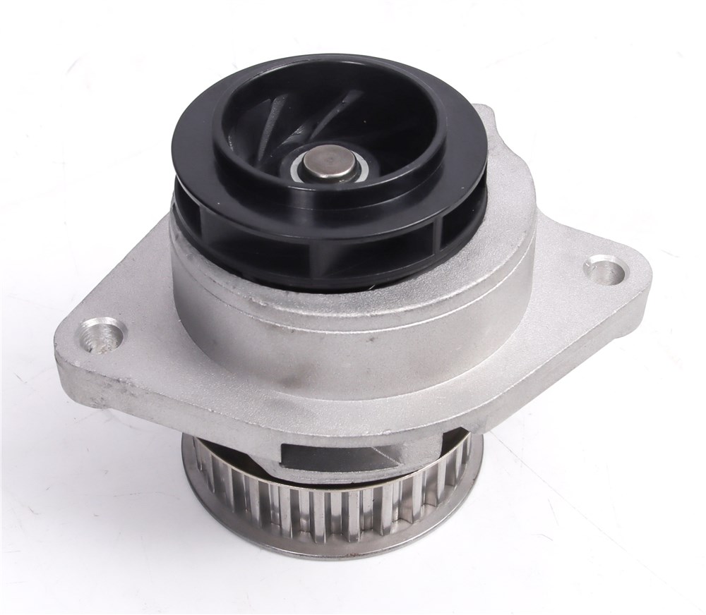 big_770165349441606_770165349761098_1771