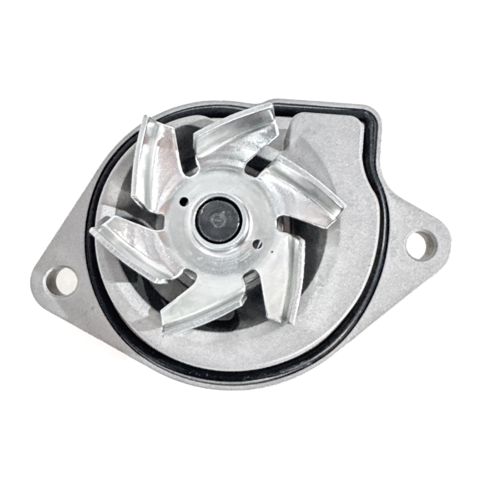 big_770165349441606_770165349761113_6210