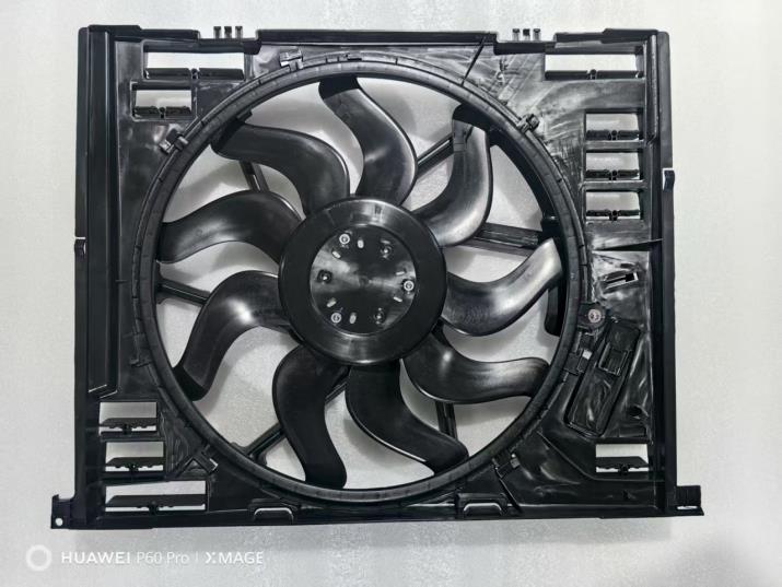 big_787121300017222_787121971884102_3911