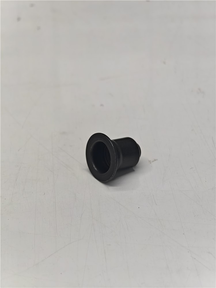 bmw-n20-n52-n54-n55-b58-valve-oil-seal-11340038719-24